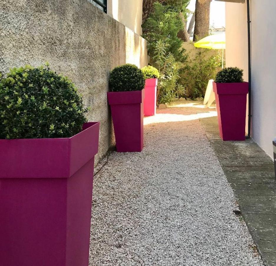 Villa Du Golfe - Studio Saint Jean La Ciotat Esterno foto